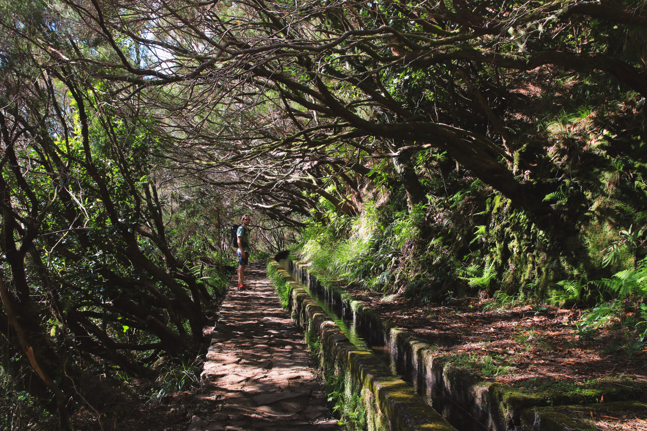 Levada das 25 Fontes