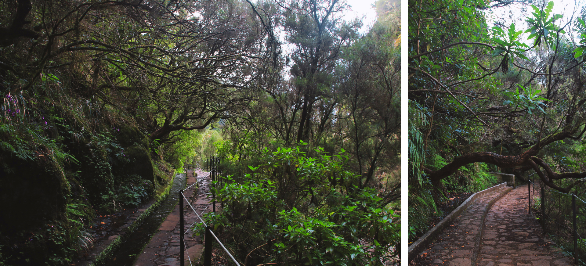 Levada das 25 Fontes