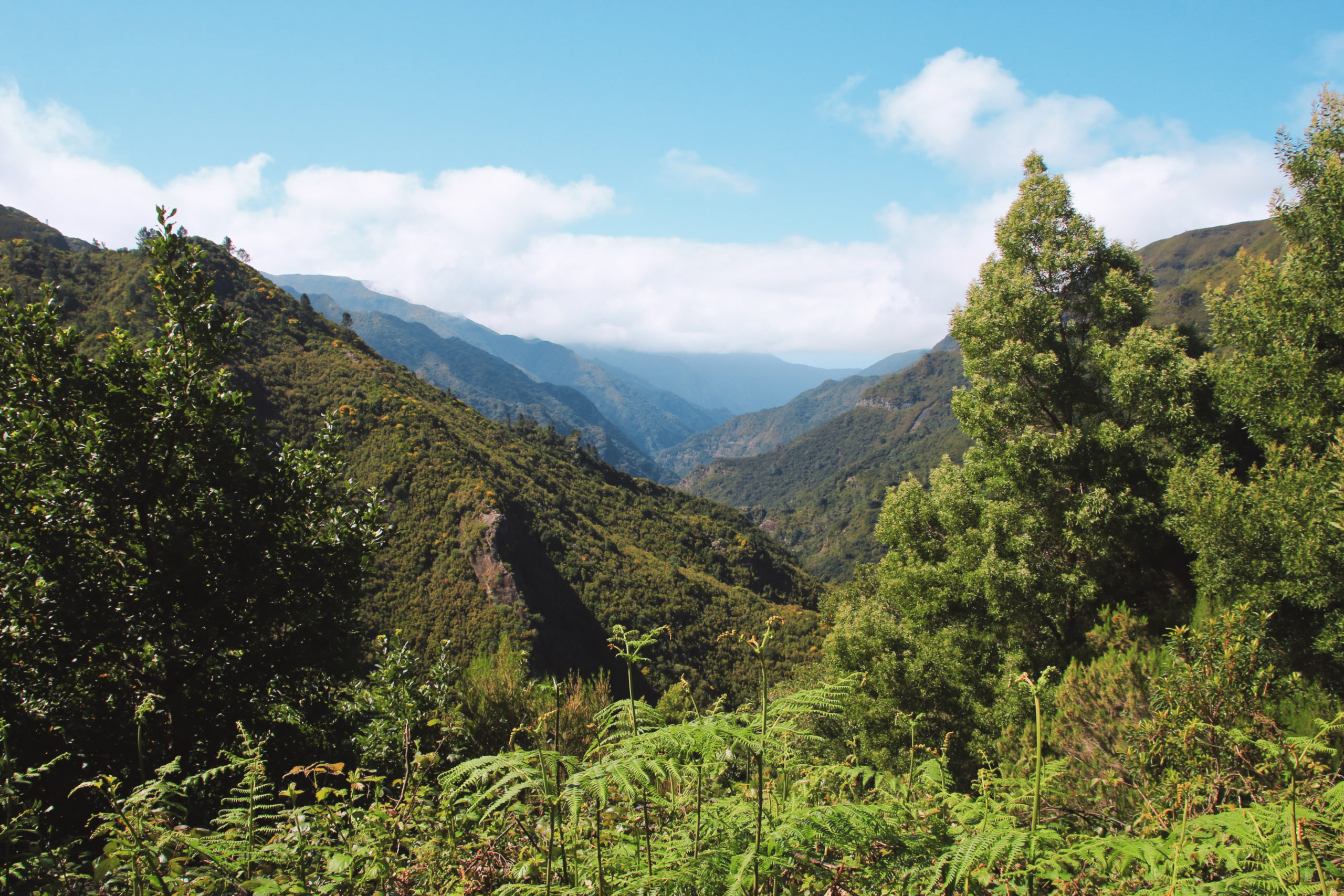 Levada do Risco