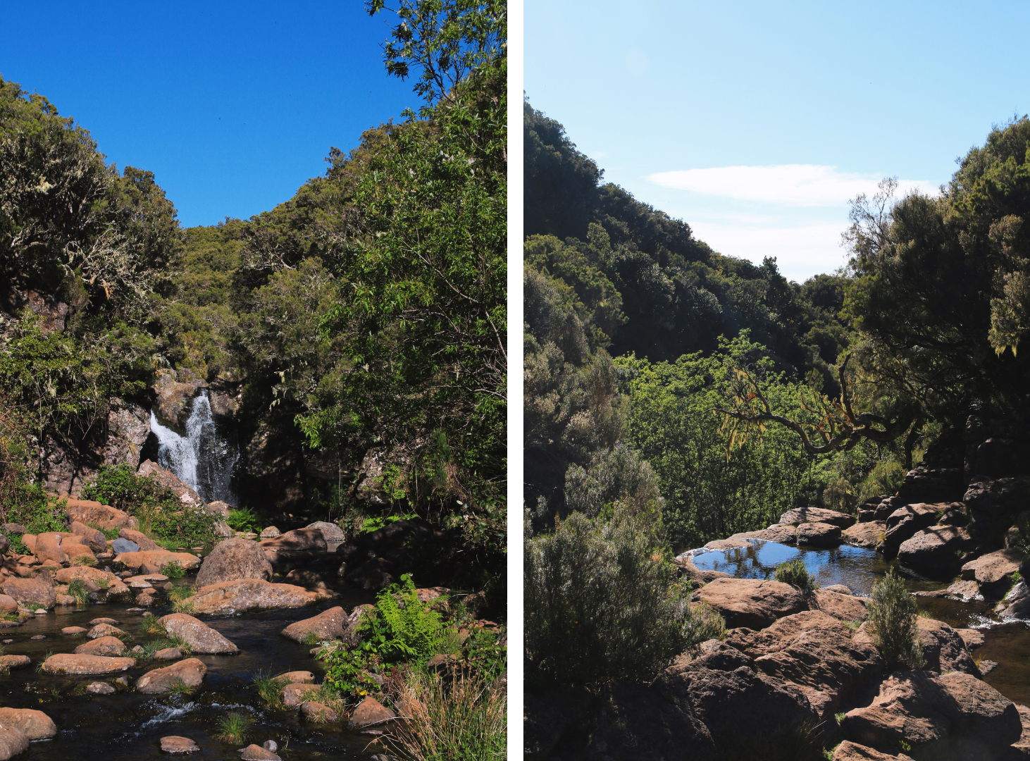 Levada do Alecrim