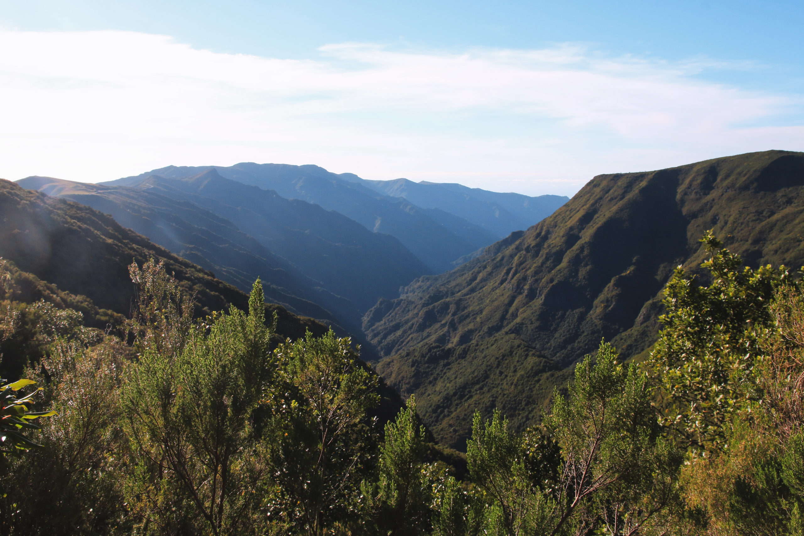 Levada do Alecrim