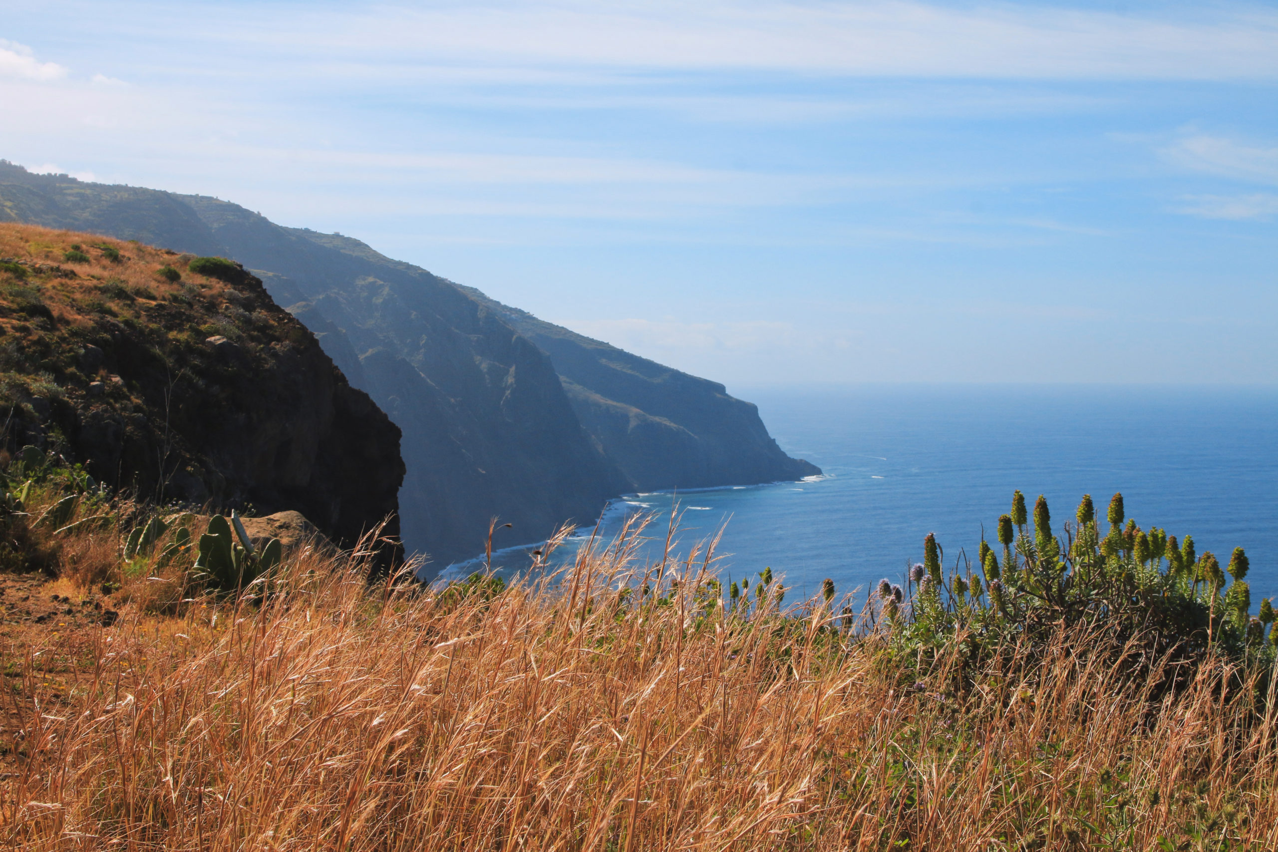 Ponta do Pargo