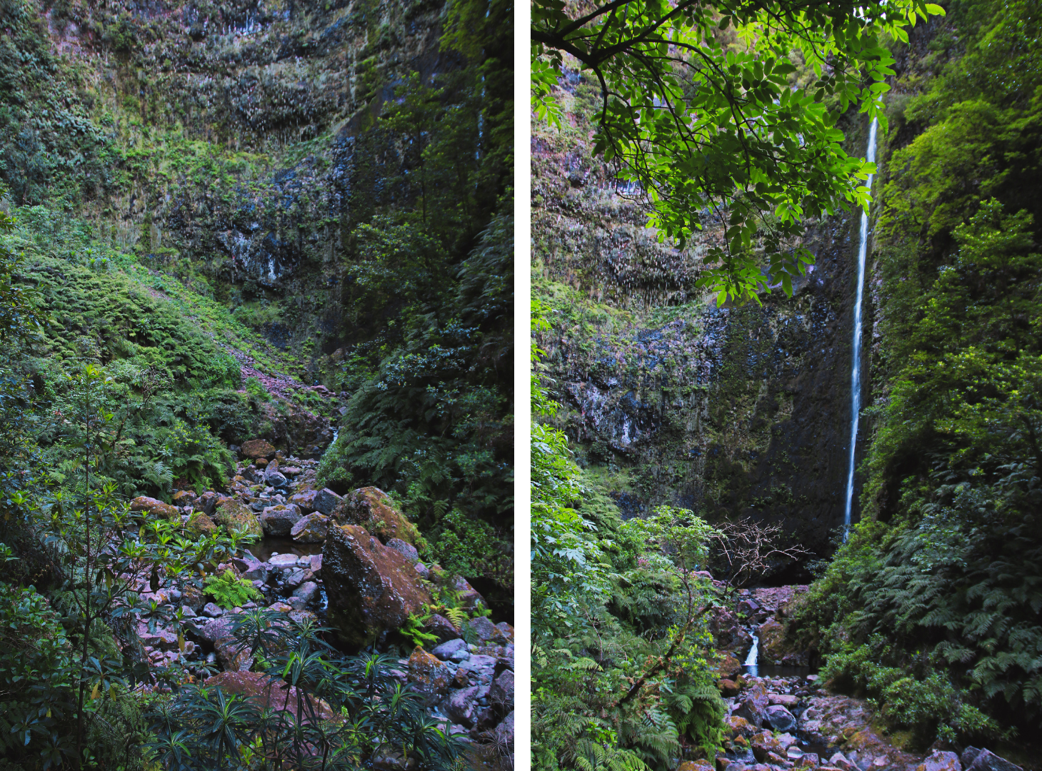 Levada do Caldeirão Verde