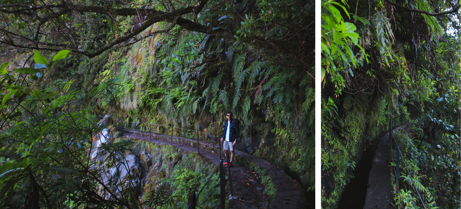 Levada do Caldeirão Verde