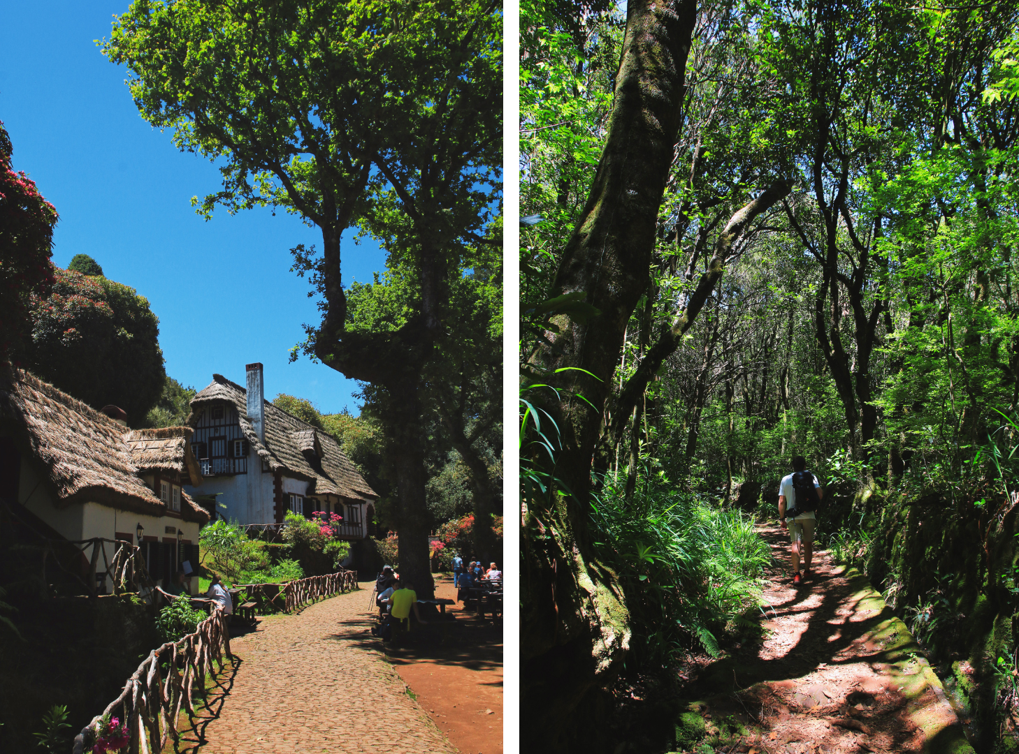 Levada do Caldeirão Verde